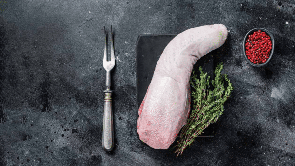 Lengua